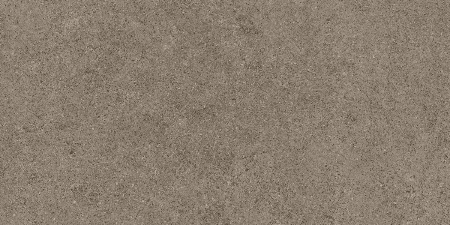 A6Q6 Taupe