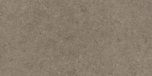 A6Q6 Taupe