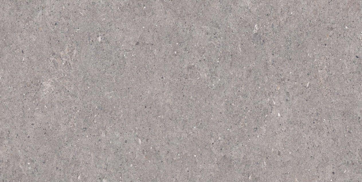Ageless Grey