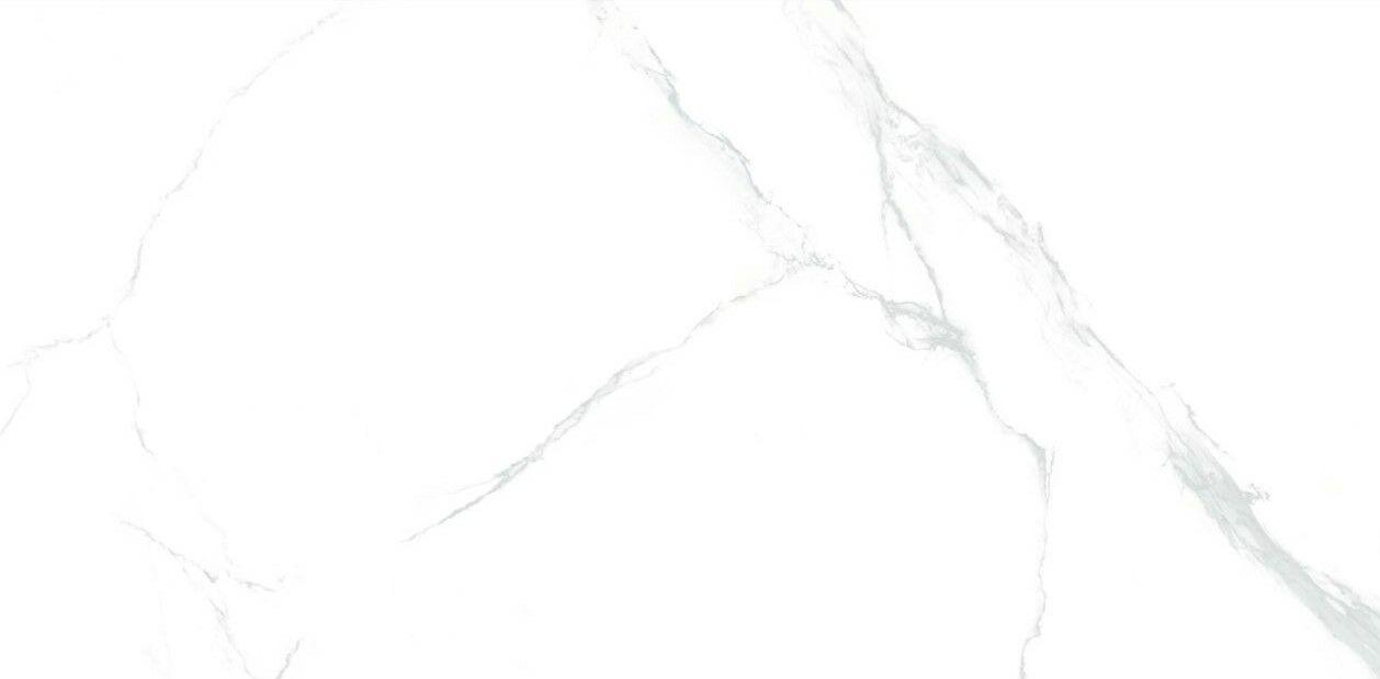 Calacatta Silver