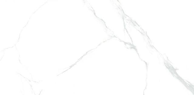 Calacatta Silver
