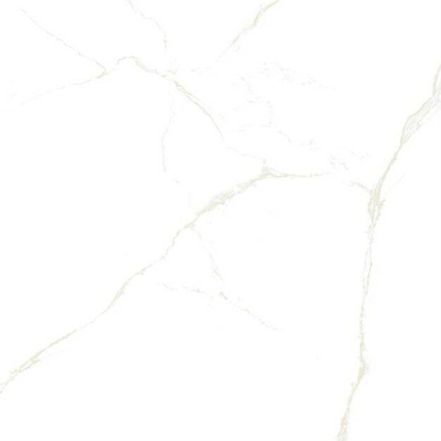 Calacatta Gold 60