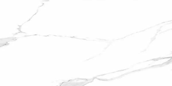 Calacatta White