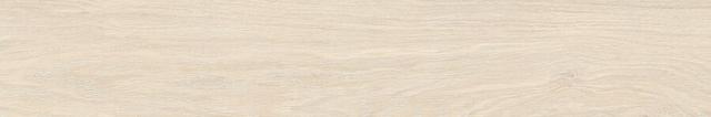 21886 Maple