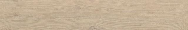 21888 Taupe