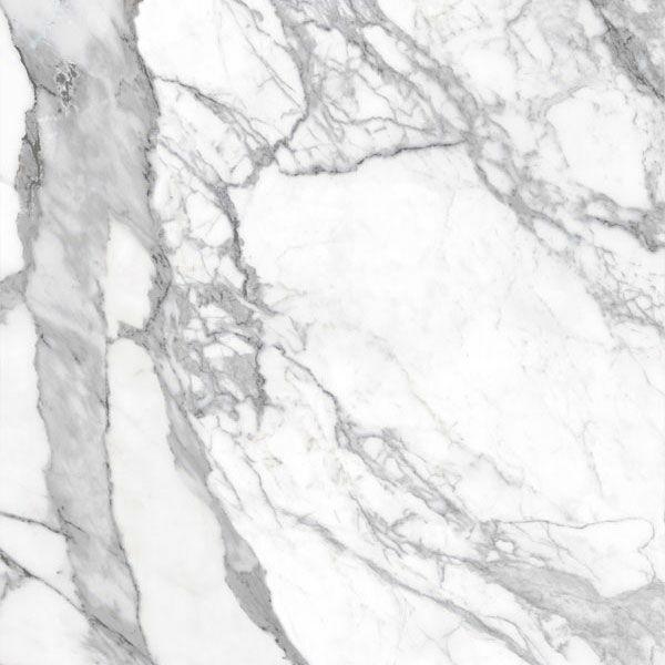 Bianco lunensis JW 12 luc