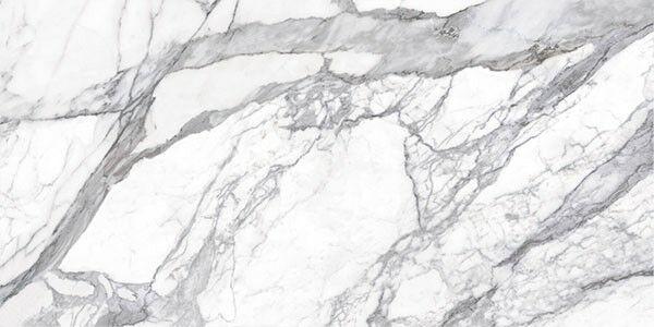 Bianco lunensis JW 12 Luc