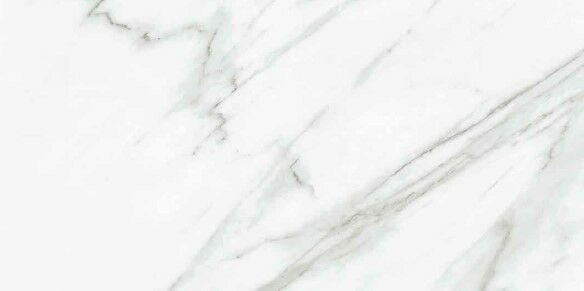 Venato JW 14 Luc