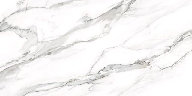 D12053M Silver