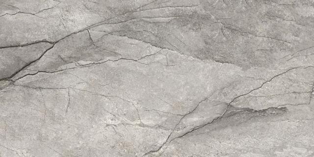 D12050M Gray