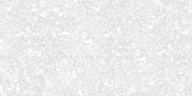 D12041M Light