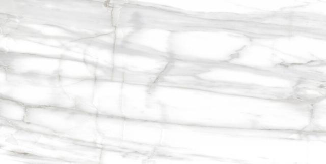 Venato White Pulido 80x160