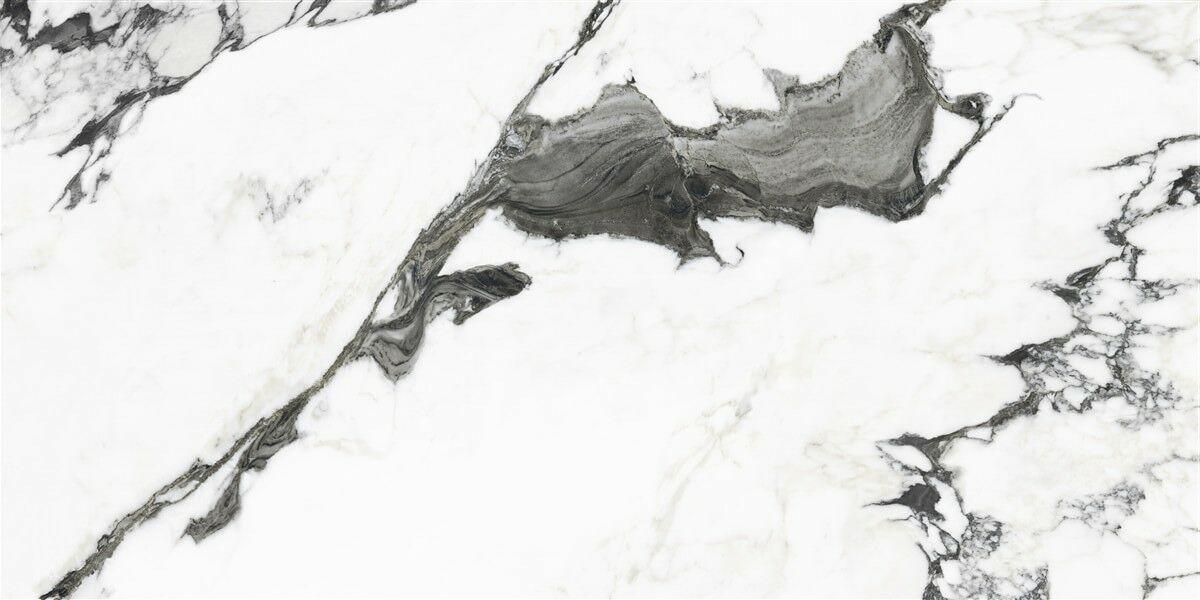 P19707 White