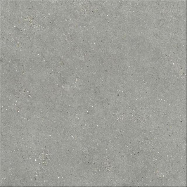 36MI30R Gris