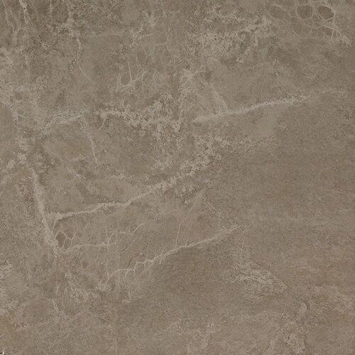Force Grey 610010001391