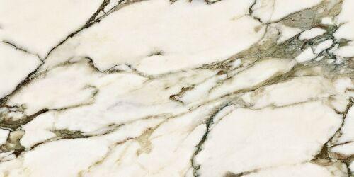 CV20218 Calacatta Venato Polished
