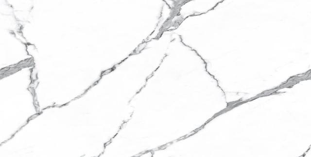 N20321 Statuario Classico Polished