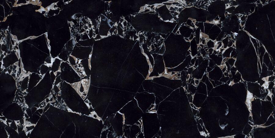 CV20209 Labrador Nero Polished