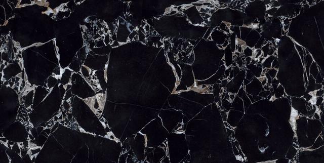 CV20209 Labrador Nero Polished