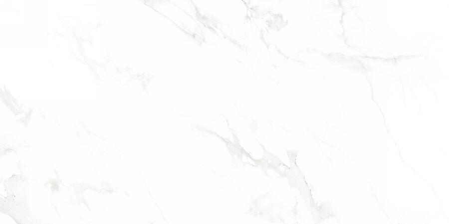 N12003 Venus Bianco Polished