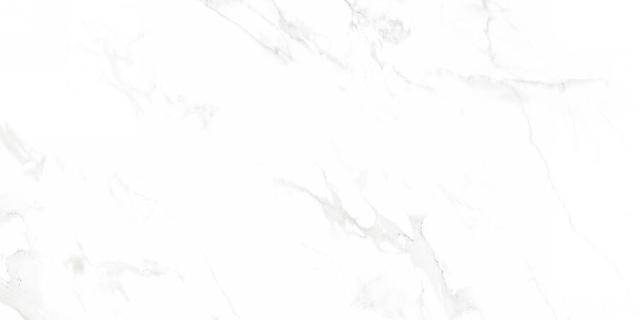 N12003 Venus Bianco Polished