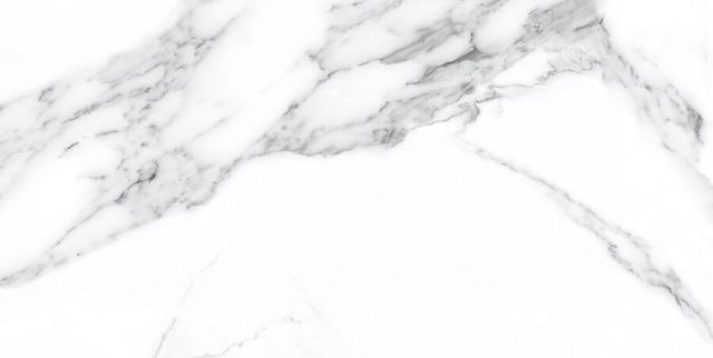 N20326 Calacatta Classico Polished