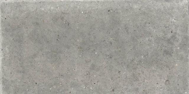 PF60010778 Pirenei Grey