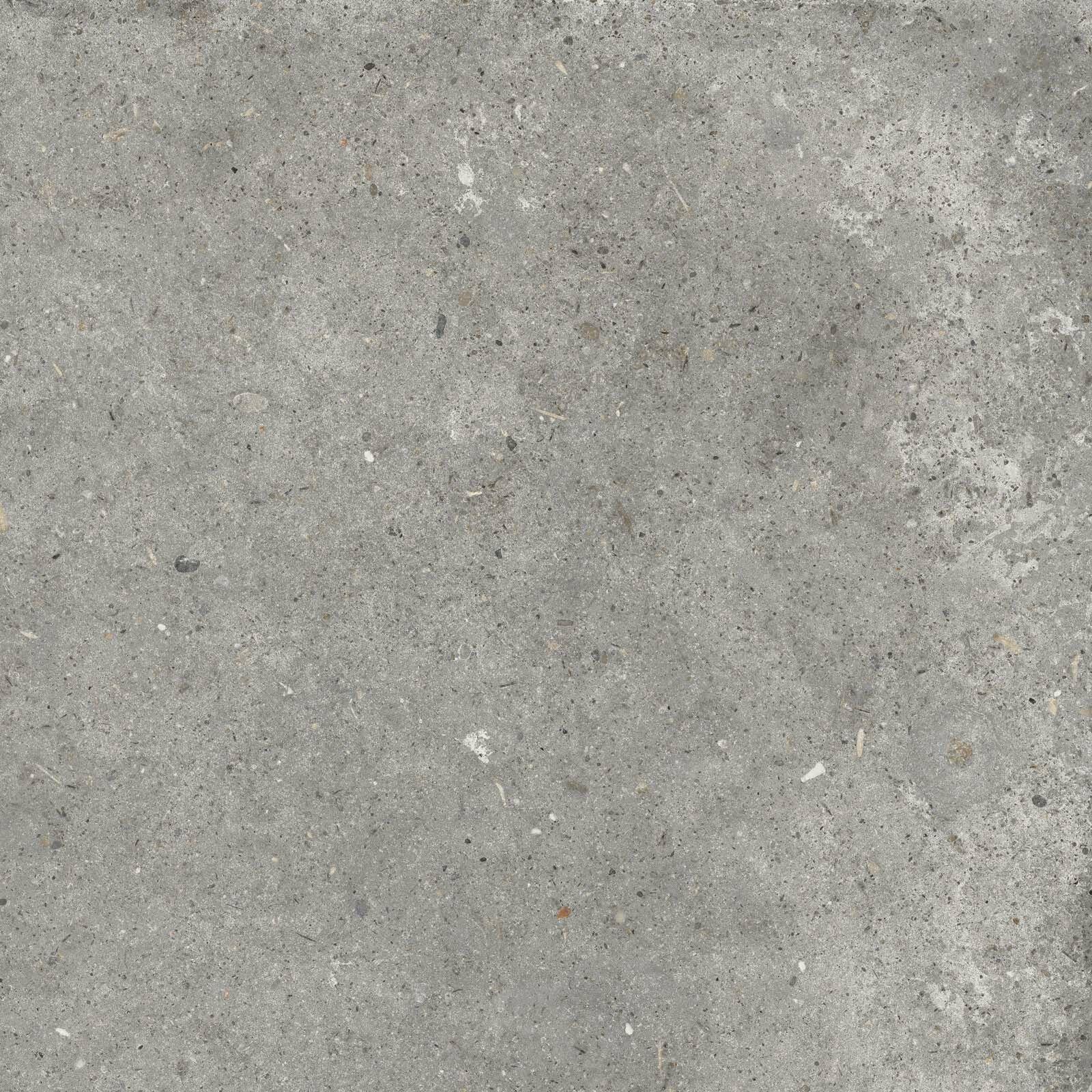 PF60010781 Pirenei Grey