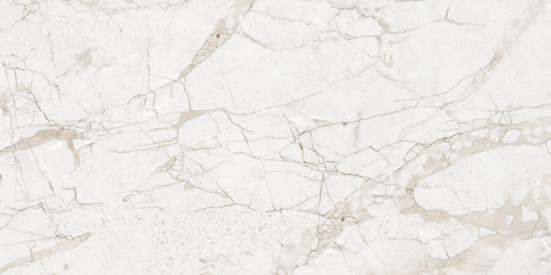 Marmo Impero Grey Carving NTT99519M