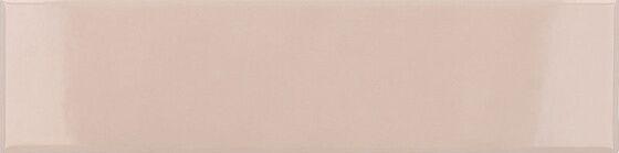 28448 Pink Stony Glossy