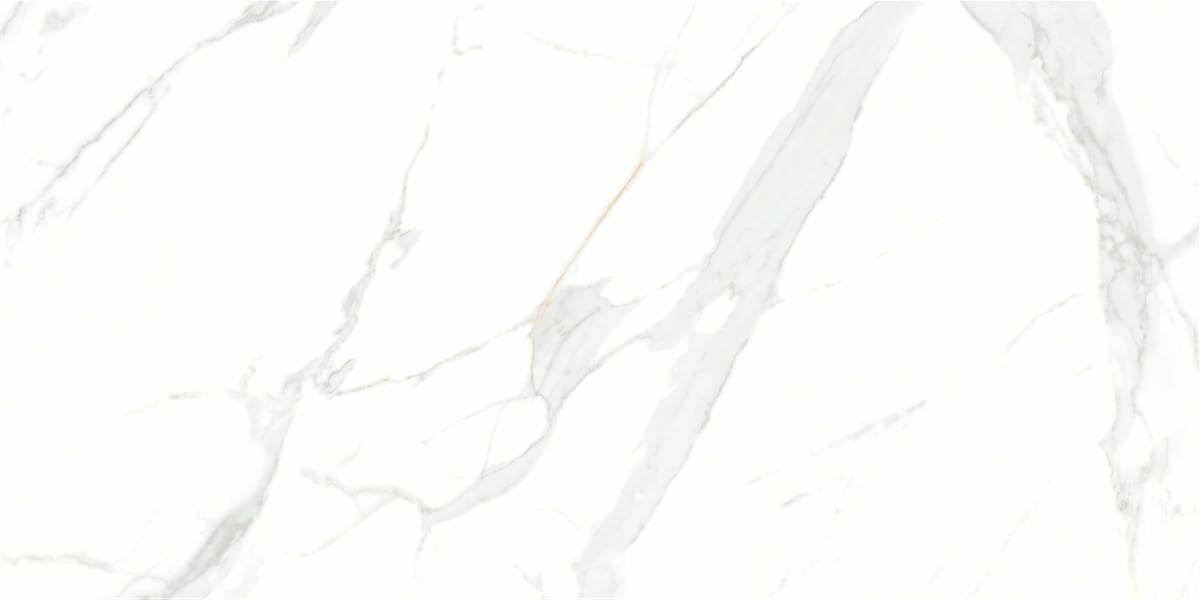 P15006 White
