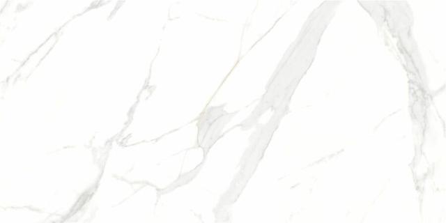 P15006 White