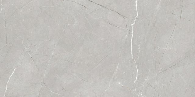 Larice Grey 60х120