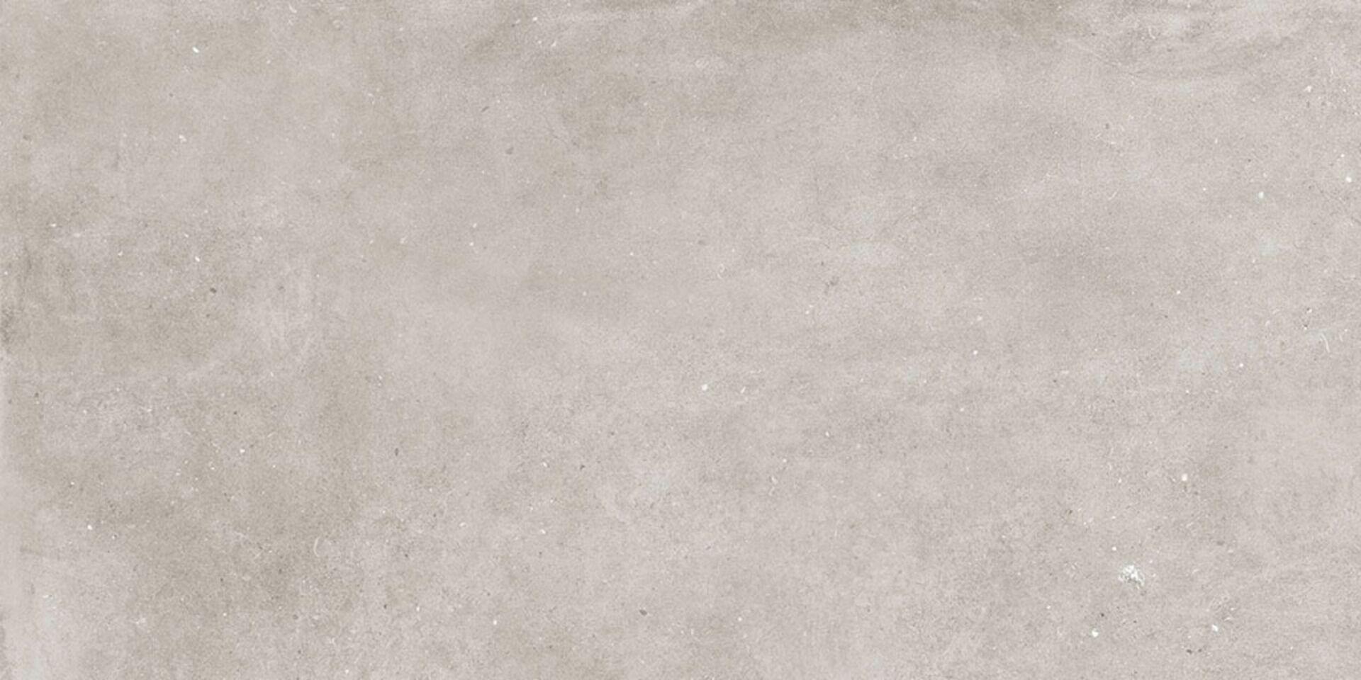 Murus Grey 60х120