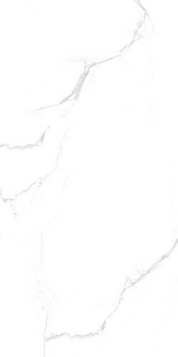 Silver Statuario 60х120