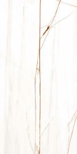 Bianco Oro 60х120