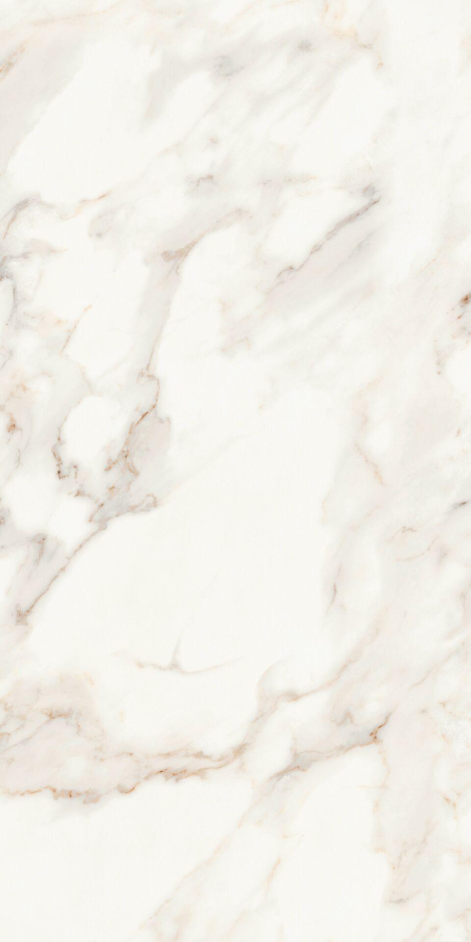 Calacatta Polished 60х120