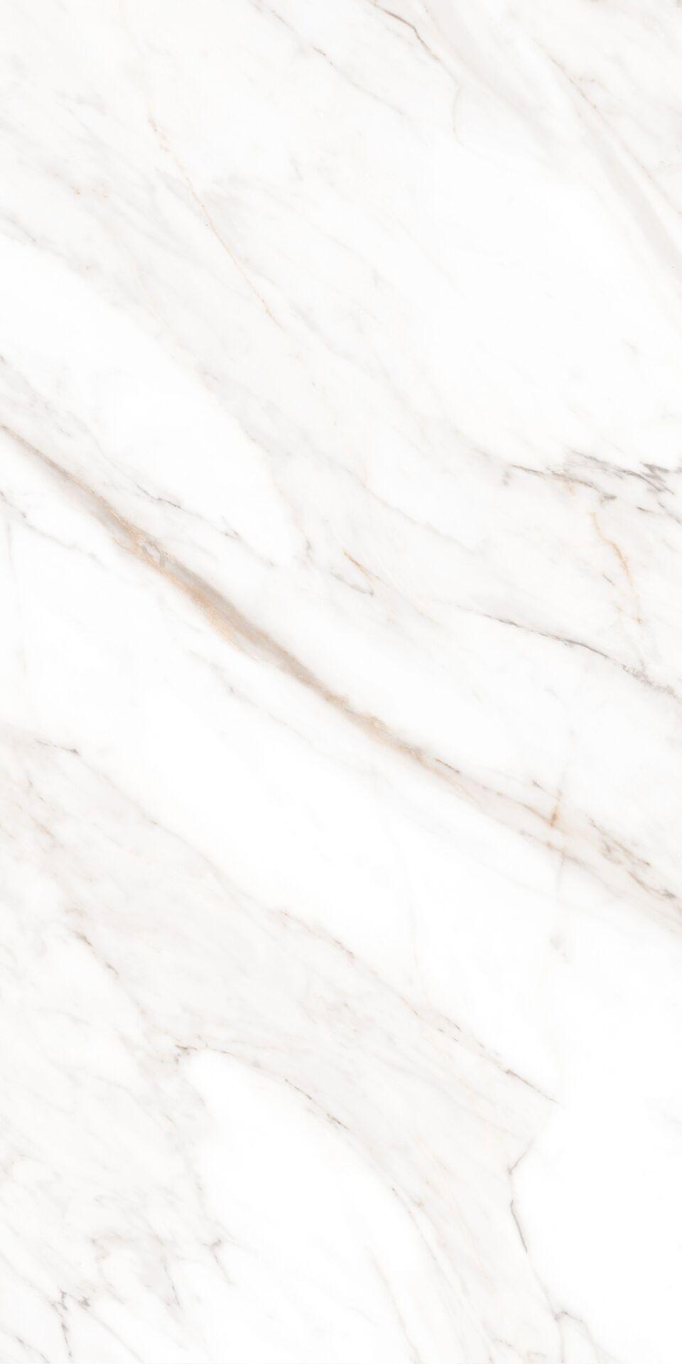 Calacatta Gold Polished 60х120