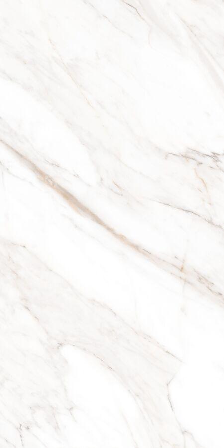 Calacatta Gold Polished 60х120