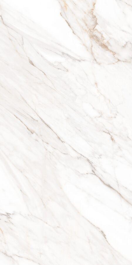 Calacatta Gold Satin 60х120