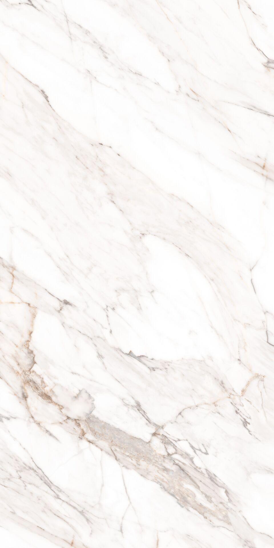 Calacatta Gold Polished 80х160