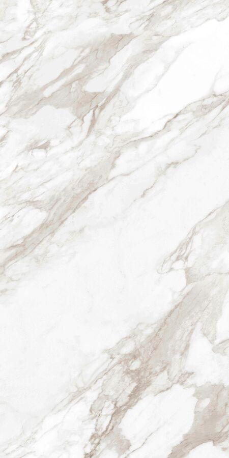 Dolomiti Polished 80х160