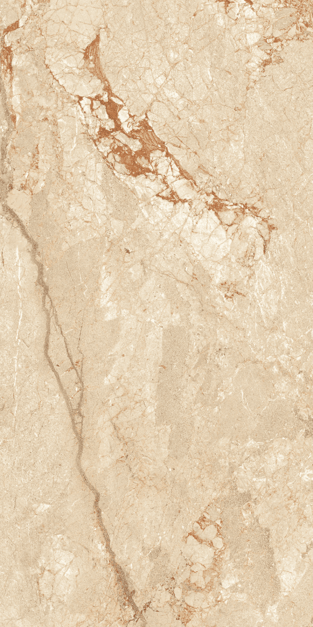 Ceppo Di Beige 80х160