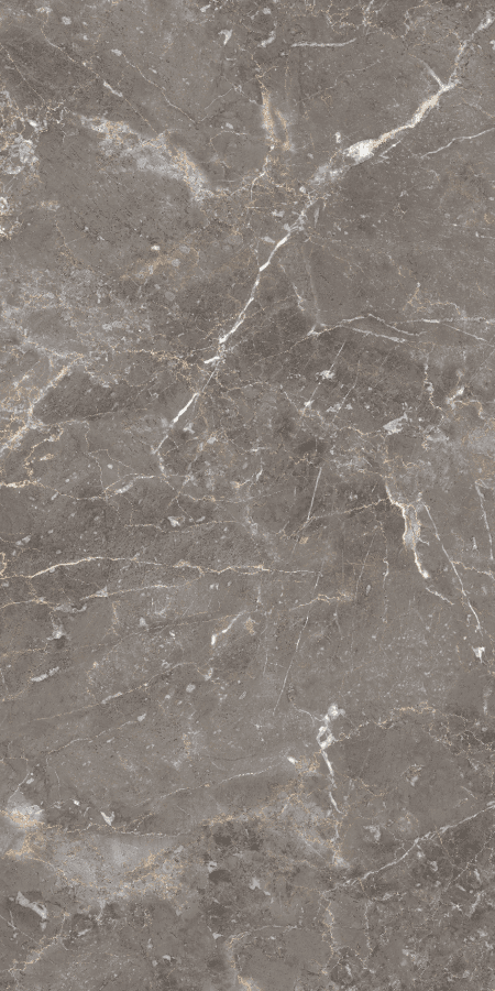 Breccia Oniciata 80х160