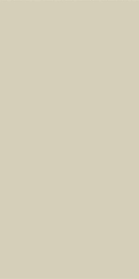 Palette Skin 30х60