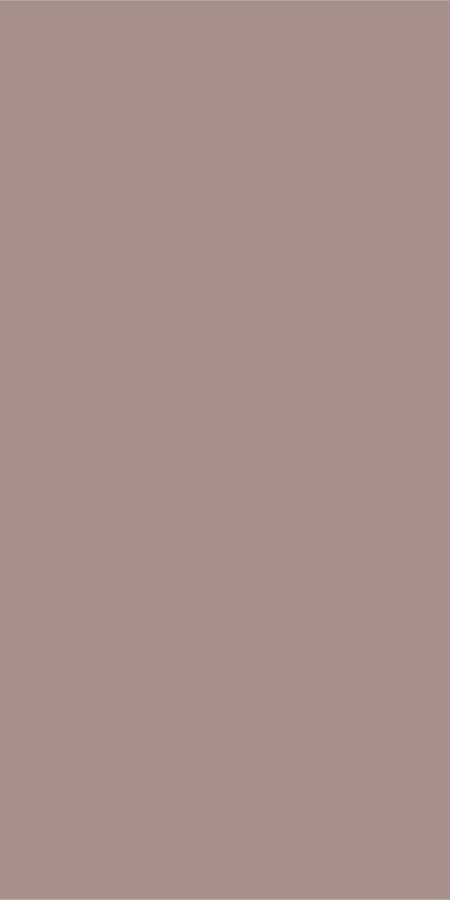 Palette Raven 30х60