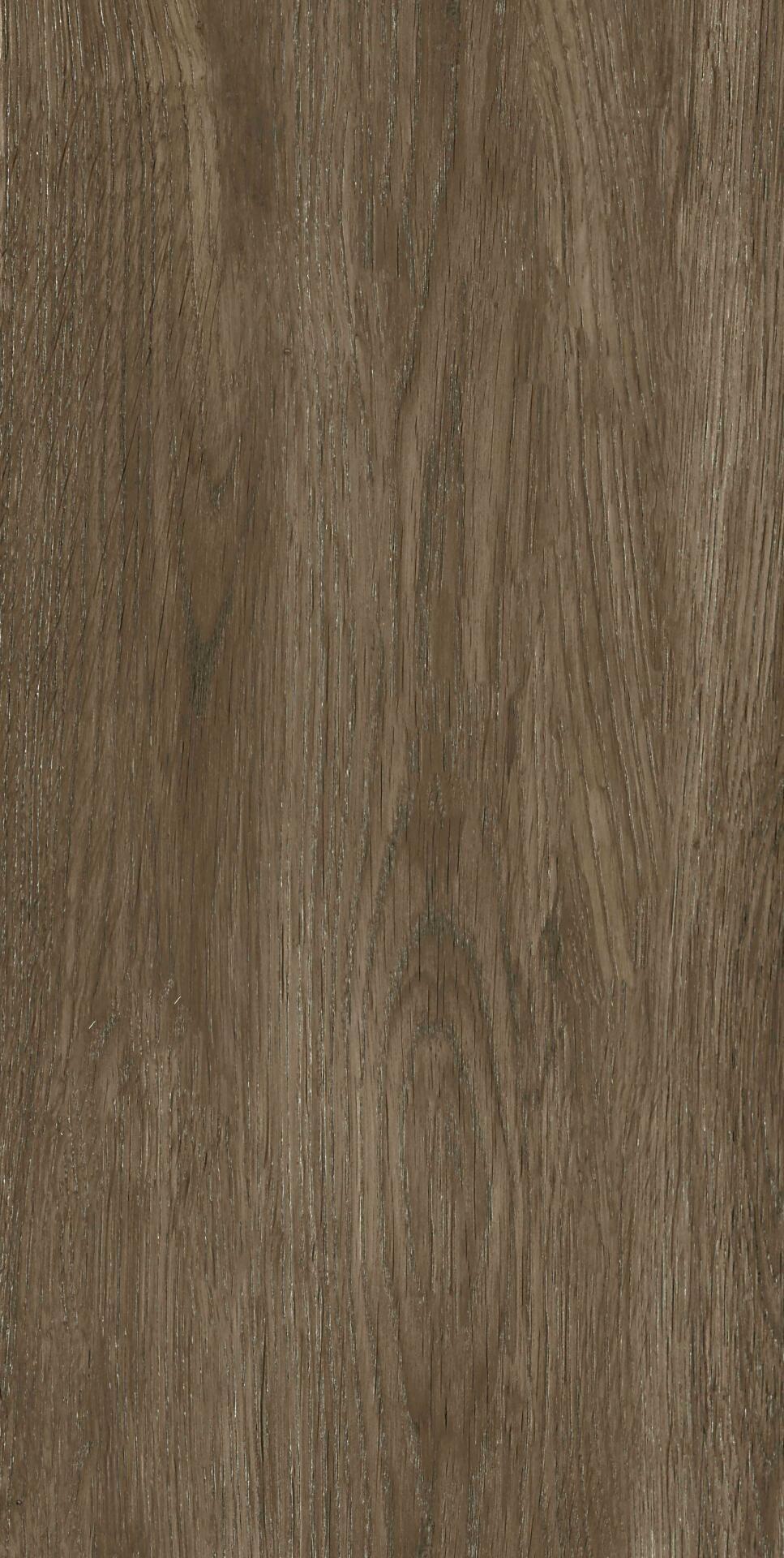 Mountain bistre 25х50
