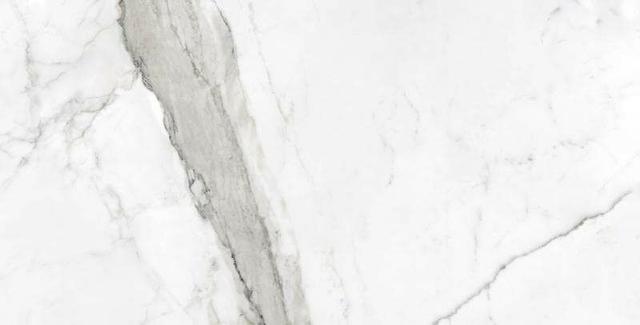 Statuario mate 60x120
