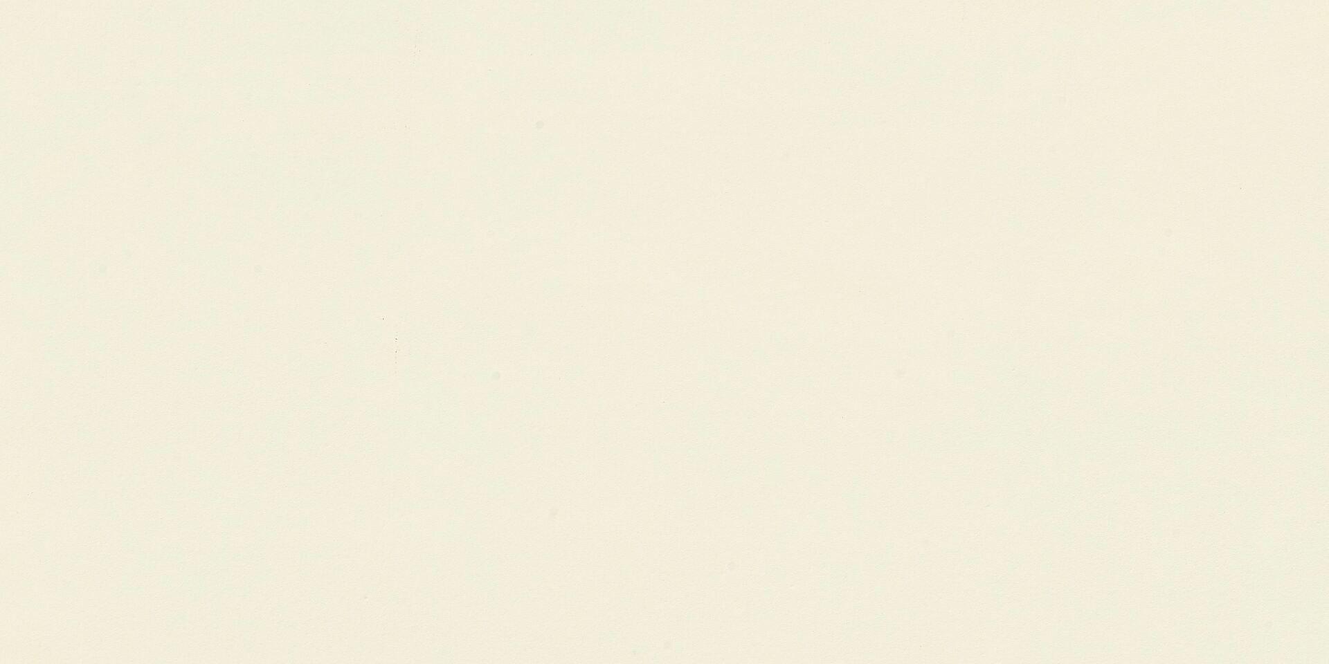 Morandi Beige-M