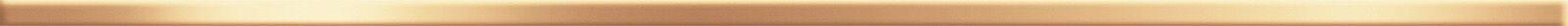 BW0SSM09 Steel Max Gold